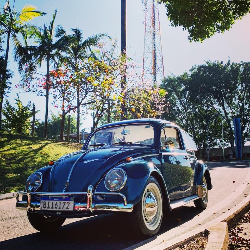 car in brazil